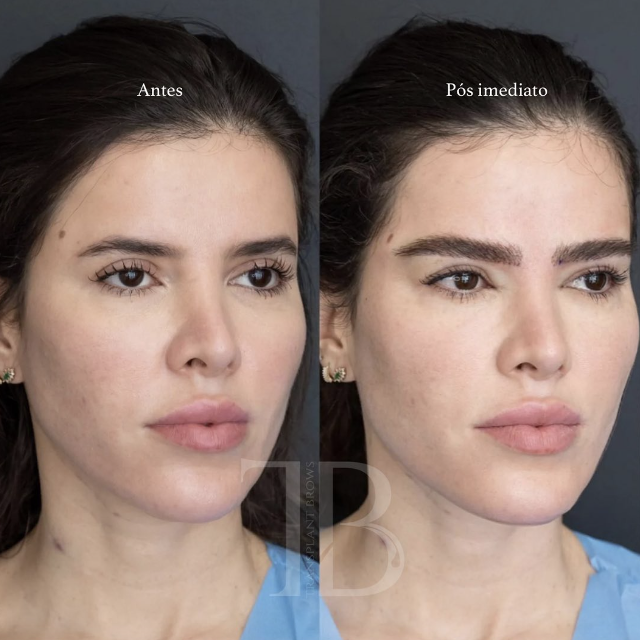 Screenshot 2024-11-19 at 13.38.16