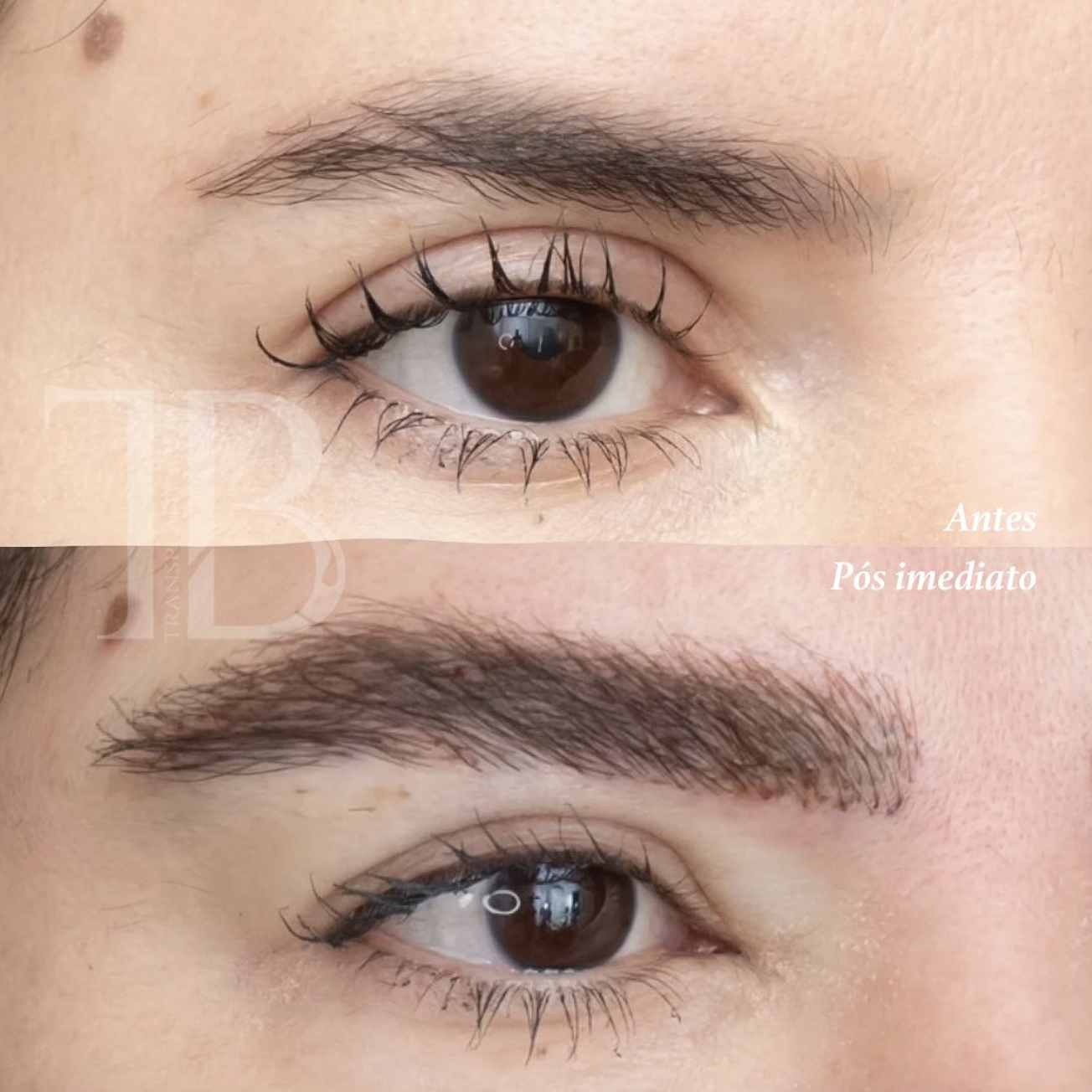 Screenshot 2024-11-19 at 13.38.25