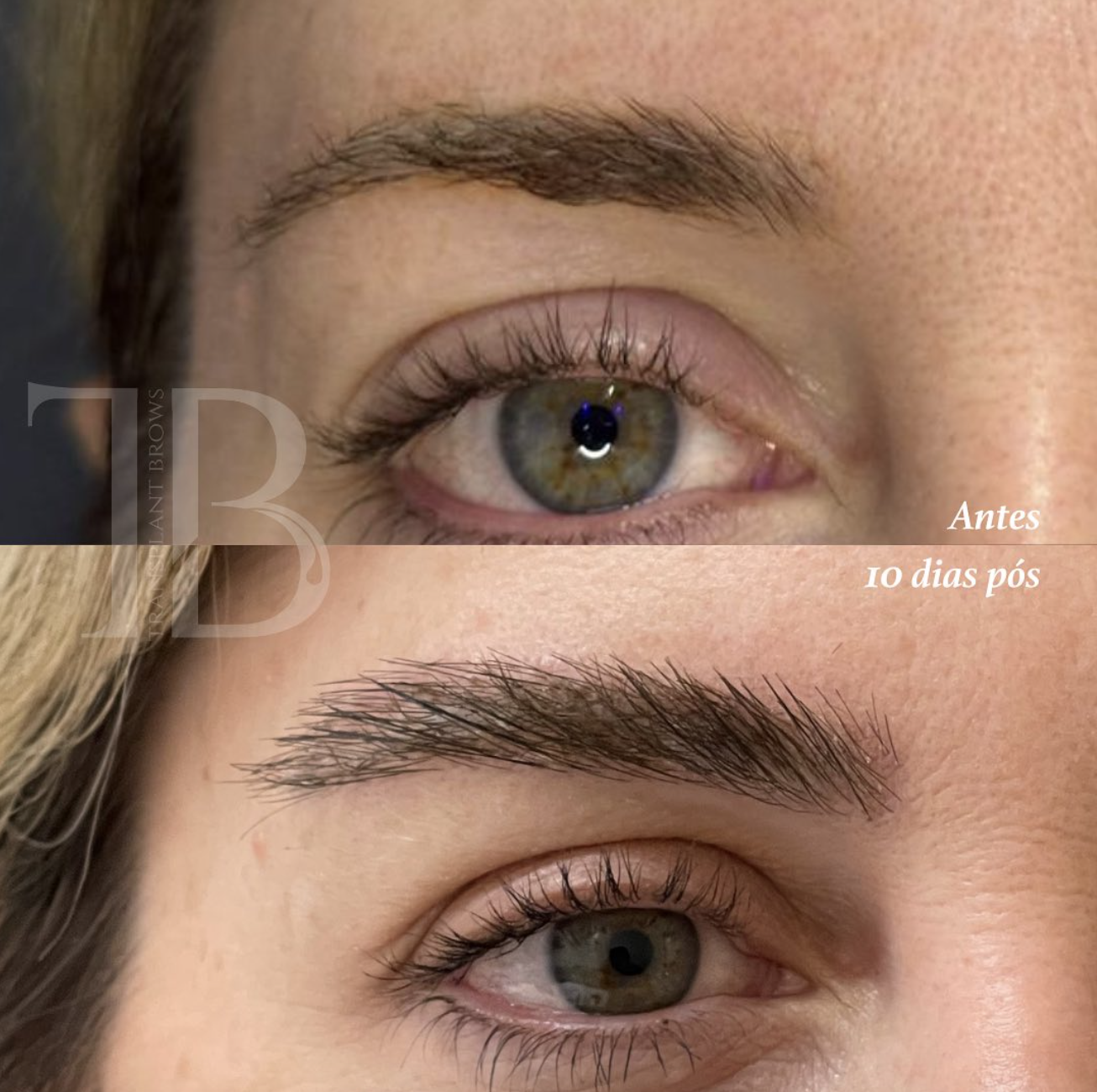 Screenshot 2024-11-19 at 13.38.37