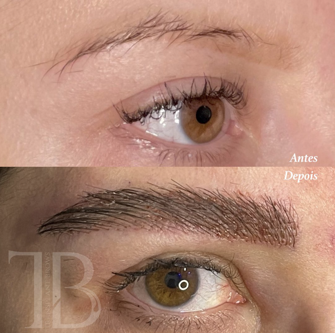 Screenshot 2024-11-19 at 13.38.49