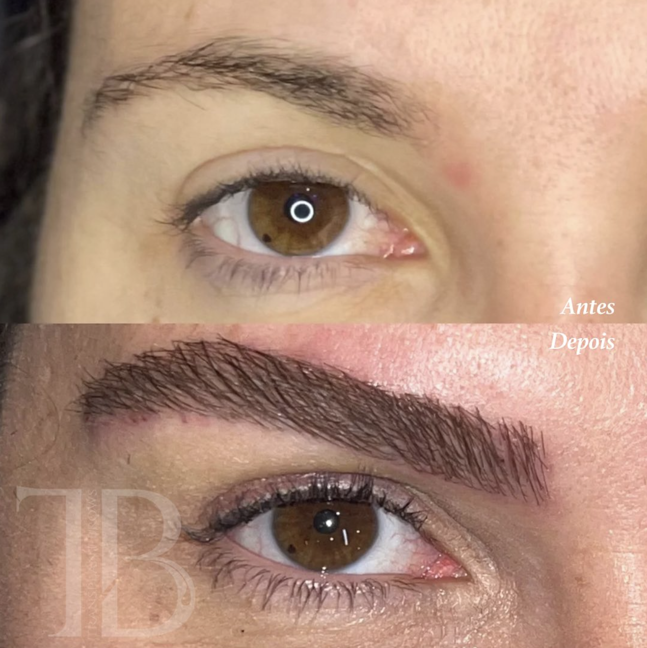 Screenshot 2024-11-19 at 13.38.58